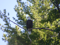 img_4978.jpg